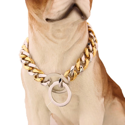 Collier Chaîne Gourmette Dorée Bouledogue Pitbull 25 à 76 cm