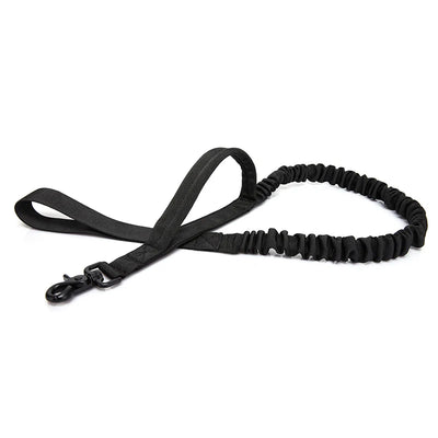Harnais Tactique Nylon Molle Grand Chien et Accessoires Assortis