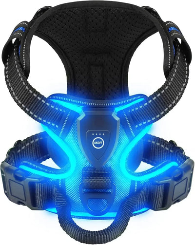 Harnais Lumineux LED Sans Traction Rechargeable Chien