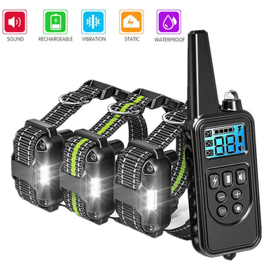Collier Électrique de Dressage 800 m Nylon Rechargeable Chien
