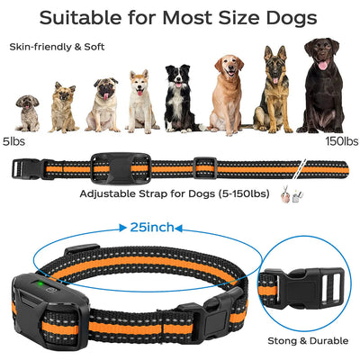 Collier Électrique de Dressage Télécommande 1000 m Rechargeable