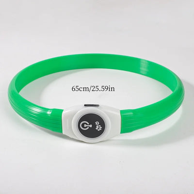 Collier LED Étanche USB pour Chien