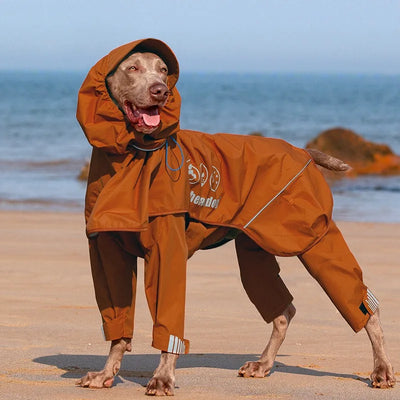 Combinaison Neige Coupe-Vent Imperméable Gros Chien