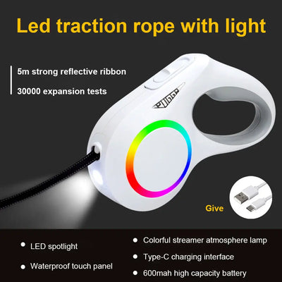 Laisse Rétractable LED 5m pour Chien