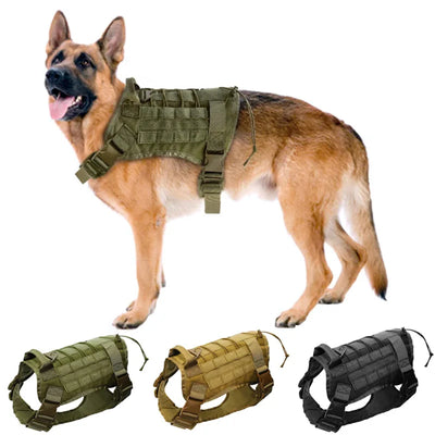 Harnais Tactique Nylon Molle Grand Chien et Accessoires Assortis