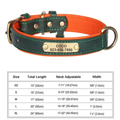 Collier Cuir Personnalisé Gravure Gros Chien