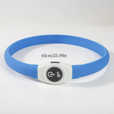 Collier LED Étanche USB pour Chien
