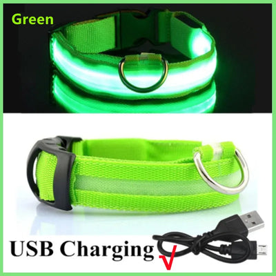 Collier Lumineux LED Rechargeable USB Nylon Grand Chien
