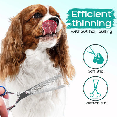 Ciseaux de Toilettage Chien Professionnels Kit 4 Paires et Peigne