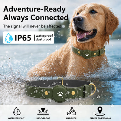 Collier GPS Chien Sans Abonnement Compatible iPhone et Android