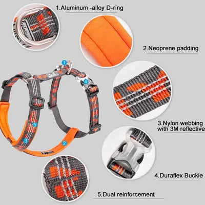 https://cdn.shopify.com/s/files/1/0489/2898/1148/files/S0477b491b19e4e138c2fb323f077c882F.webp?v=1742985555
