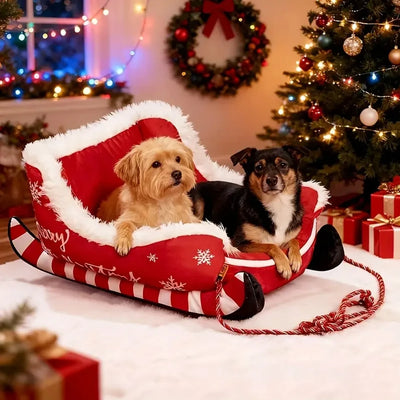 Panier Traîneau de Noël Chien Petit Format