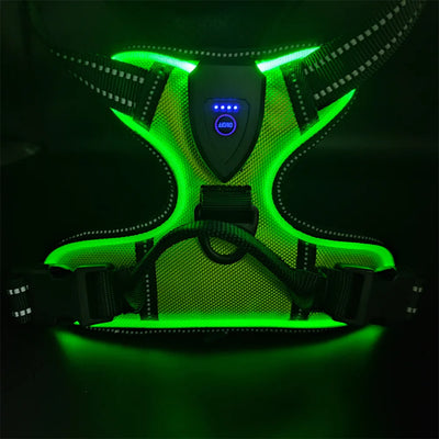 Harnais Lumineux LED Rechargeable Grand Chien
