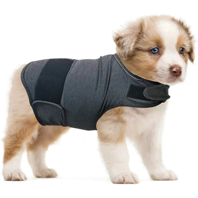 Vêtement Apaisant Anti-Anxiété Réglable Col Amovible Chien Voyage