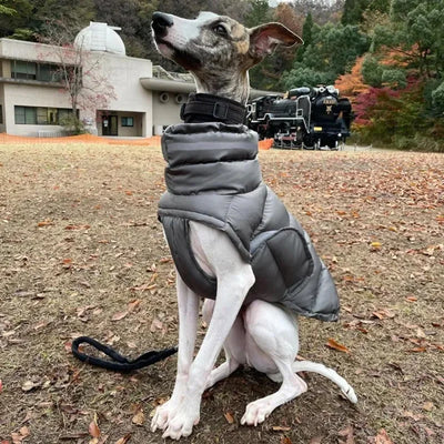 Manteau Imperméable Chaud pour Lévrier Réfléchissant