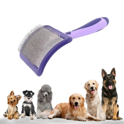 Brosse de Toilettage pour Caniche et Chien Poils Bouclés