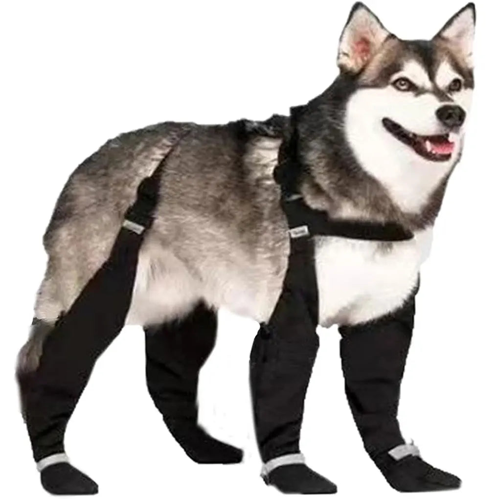 Bottes Réfléchissantes Antidérapantes Gros Chien