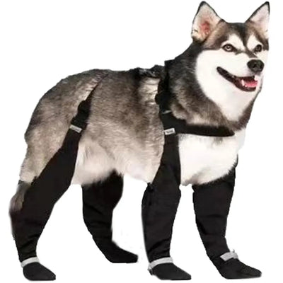 Bottes Réfléchissantes Antidérapantes Gros Chien
