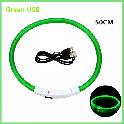 Collier Lumineux LED Rechargeable USB Nylon Grand Chien