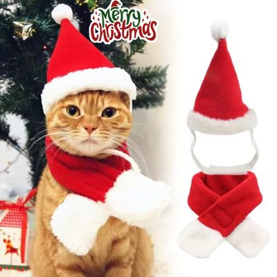Chapeau et Écharpe de Père Noël pour Chien