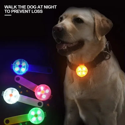 Collier LED Rechargeable Multicolore pour Chien
