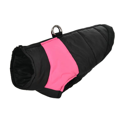 Manteau Doudoune Chien Coupe-Vent Anneau en D Labrador