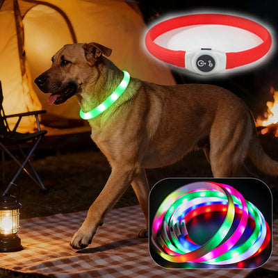 Collier LED Étanche USB pour Chien