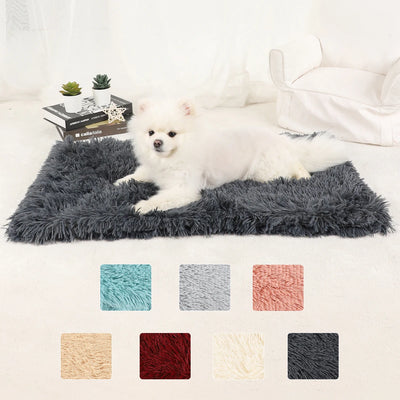 Tapis Moelleux Chien Ultra Doux Grand Format