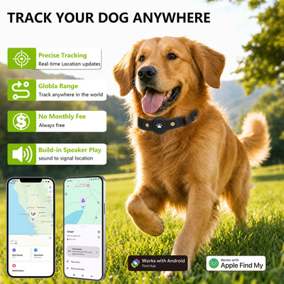 Collier GPS Chien Sans Abonnement Compatible iPhone et Android