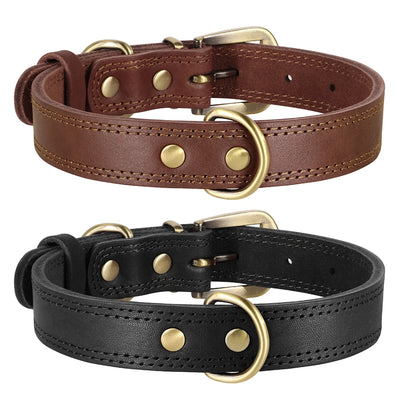 Collier Cuir Véritable Double Anneau Boucle Laiton Pitbull Chien