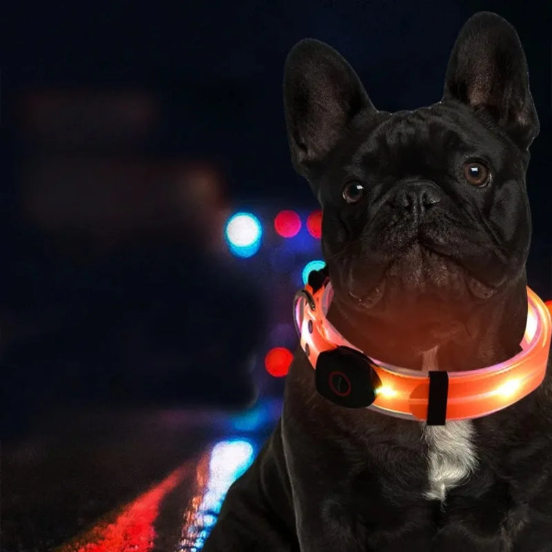 Collier et Laisse LED Lumineux pour Chien