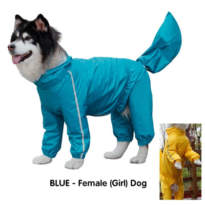 Manteau Imperméable Combinaison Visière Husky Samoyède 8XL-12XL