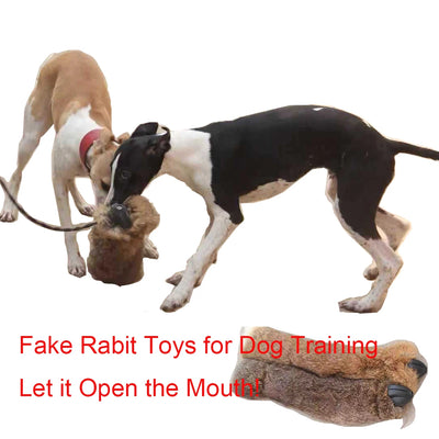 Lapin Simulé Sonore Dressage Chien Chasse