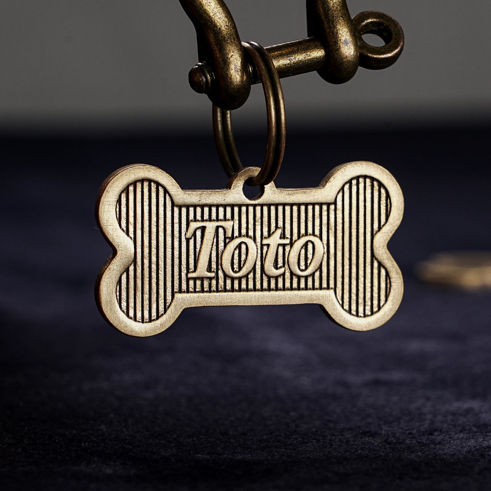 Médaille Laiton Gravée en Os pour Chien