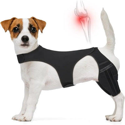 Attelle Genouillère Chien Réglable Bandes Réfléchissantes