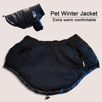Veste Coupe-Vent Hiver Chaude Gros Chien