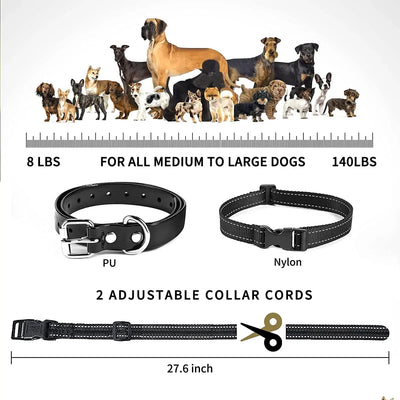 Collier Dressage Télécommande Gros Chien Étanche