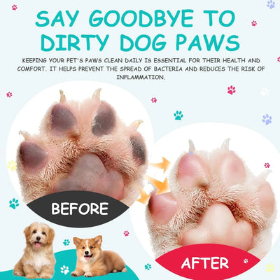 Shampoing Sans Rinçage pour Pattes de Chien