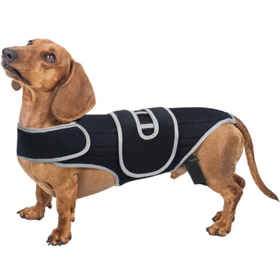 Attelle Dorsale Orthopédique Réglable pour Gros Chien
