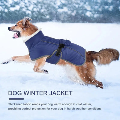 Manteau Hiver Réfléchissant Gros Chien Coupe-Vent