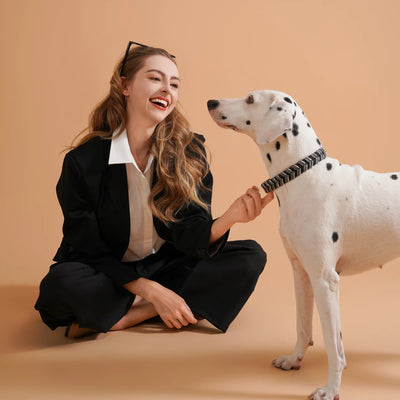 Collier Tressé Coloré Fait Main pour Grand Chien