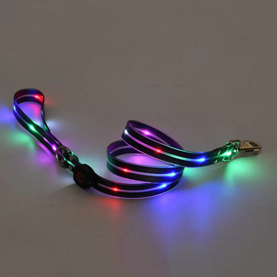 Collier et Laisse LED Lumineux pour Chien