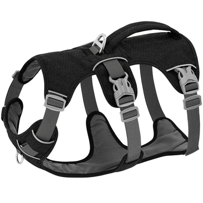 https://cdn.shopify.com/s/files/1/0489/2898/1148/files/S0c33fddddbf341e185b7ac2151fd8457N.webp?v=1742913735