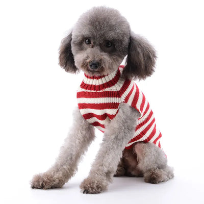 Pull de Noël Col Roulé Petit et Moyen Chien