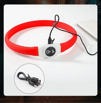 Collier LED Étanche USB pour Chien