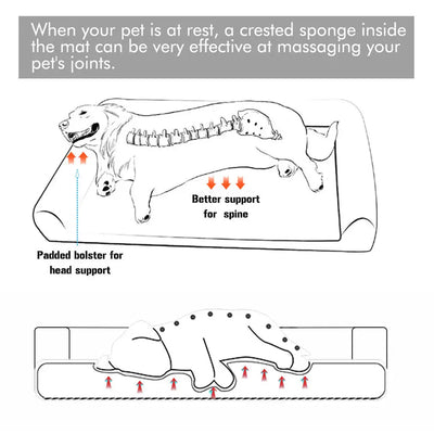 Lit pour chien xxl dehoussable - Gros-Chien.com