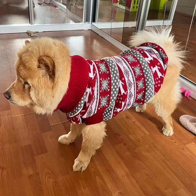 Pull de Noël Tricoté Renne Chien Golden Retriever