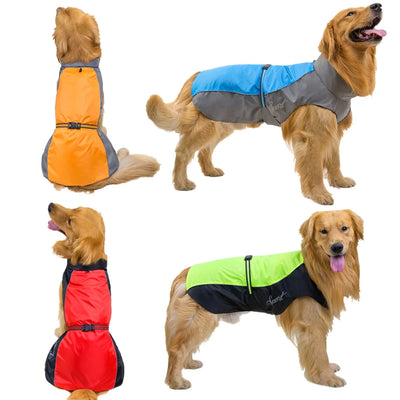 Manteau Imperméable Sport Bicolore Golden Retriever du S au 9XL