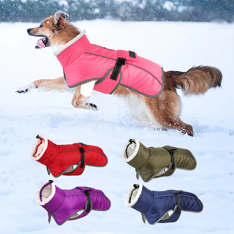 Manteau Hiver Réfléchissant Gros Chien Coupe-Vent