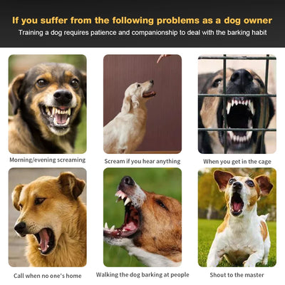 Clôture Électronique Sans Fil pour Chien 480 m Rechargeable